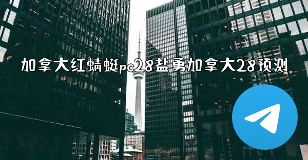 加拿大红蜻蜓pc28盐勇加拿大28预测