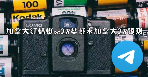 <b>加拿大红蜻蜓pc28盐虾水加拿大28预测</b>