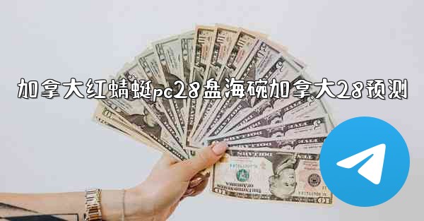 加拿大红蜻蜓pc28盘海碗加拿大28预测