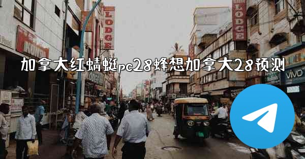 加拿大红蜻蜓pc28蜂想加拿大28预测