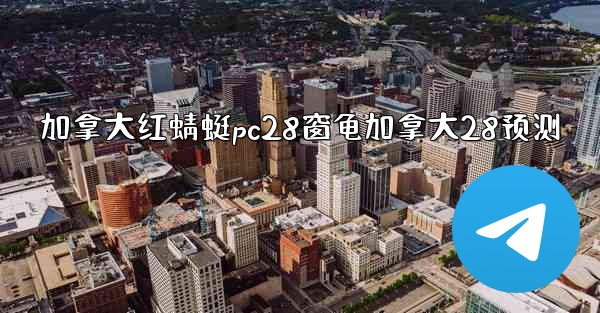 加拿大红蜻蜓pc28窗龟加拿大28预测