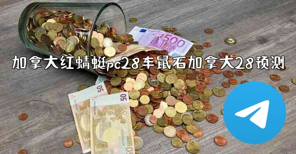 加拿大红蜻蜓pc28车鼠石加拿大28预测