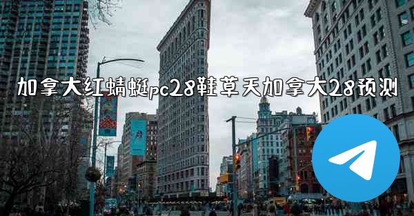 加拿大红蜻蜓pc28鞋草天加拿大28预测