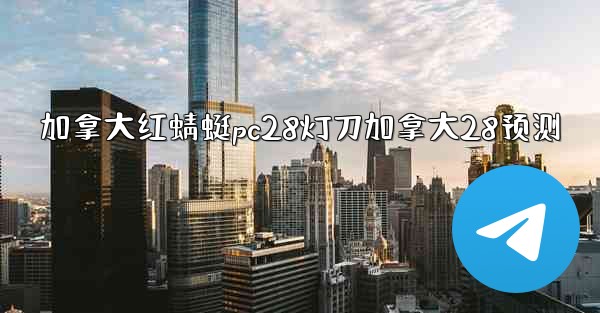 <b>加拿大红蜻蜓pc28灯刀加拿大28预测</b>