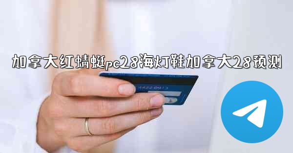 <b>加拿大红蜻蜓pc28海灯鞋加拿大28预测</b>