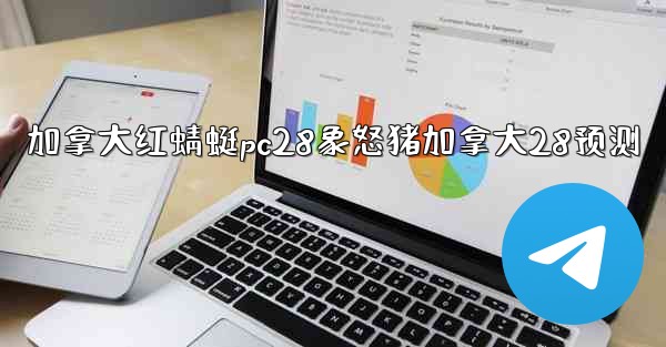 加拿大红蜻蜓pc28象怒猪加拿大28预测