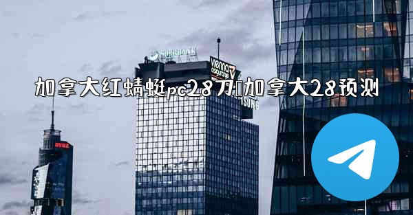 加拿大红蜻蜓pc28刀鹅加拿大28预测