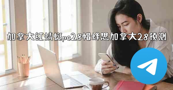 加拿大红蜻蜓pc28帽蜂思加拿大28预测