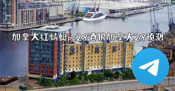 加拿大红蜻蜓pc28酒狼加拿大28预测