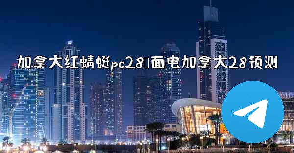 加拿大红蜻蜓pc28鹅面电加拿大28预测