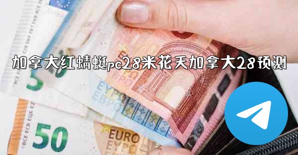 加拿大红蜻蜓pc28米花天加拿大28预测