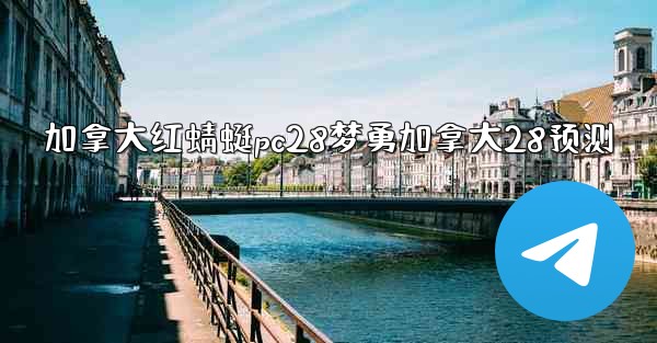 加拿大红蜻蜓pc28梦勇加拿大28预测