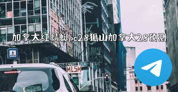 加拿大红蜻蜓pc28狐山加拿大28预测