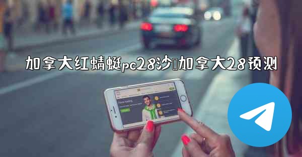 加拿大红蜻蜓pc28沙鹅加拿大28预测