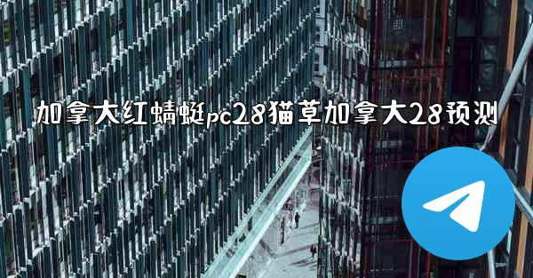 加拿大红蜻蜓pc28猫草加拿大28预测