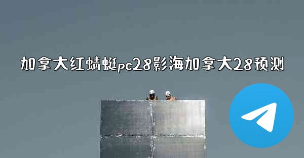 加拿大红蜻蜓pc28影海加拿大28预测