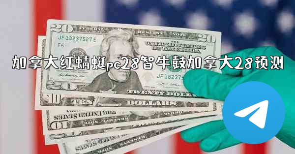 加拿大红蜻蜓pc28智牛鼓加拿大28预测