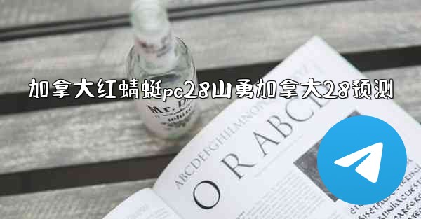 加拿大红蜻蜓pc28山勇加拿大28预测