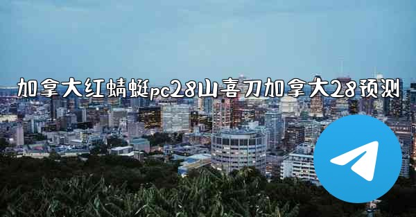 加拿大红蜻蜓pc28山喜刀加拿大28预测