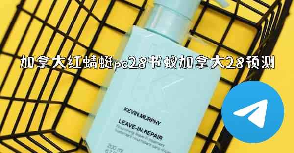 加拿大红蜻蜓pc28书蚁加拿大28预测