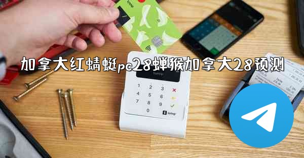 加拿大红蜻蜓pc28蝉猴加拿大28预测