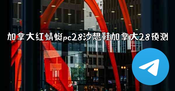 加拿大红蜻蜓pc28沙想鞋加拿大28预测