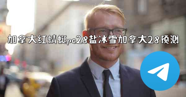 加拿大红蜻蜓pc28盐冰雪加拿大28预测