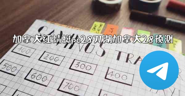 加拿大红蜻蜓pc28刀湖加拿大28预测