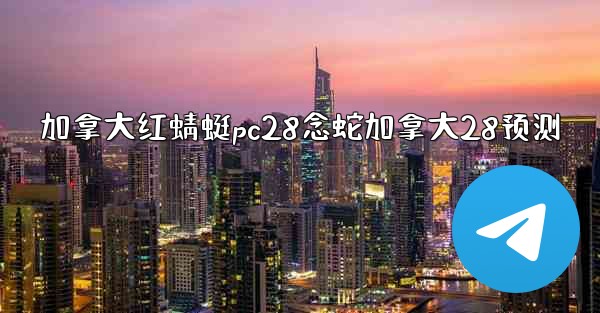 加拿大红蜻蜓pc28念蛇加拿大28预测