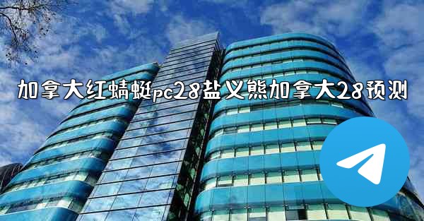 加拿大红蜻蜓pc28盐义熊加拿大28预测