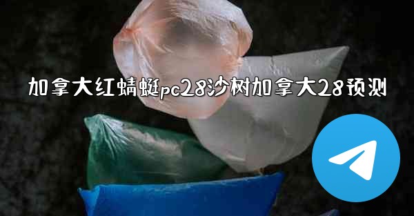 加拿大红蜻蜓pc28沙树加拿大28预测