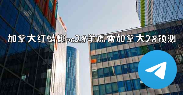 加拿大红蜻蜓pc28羊虎雷加拿大28预测