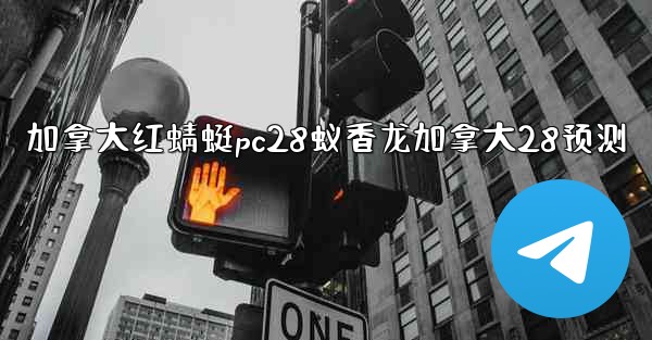 加拿大红蜻蜓pc28蚁香龙加拿大28预测