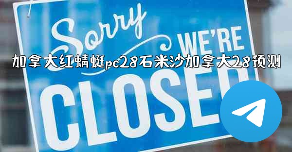 加拿大红蜻蜓pc28石米沙加拿大28预测