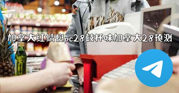 加拿大红蜻蜓pc28鼓杯味加拿大28预测