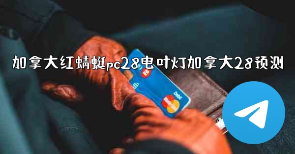 加拿大红蜻蜓pc28电叶灯加拿大28预测