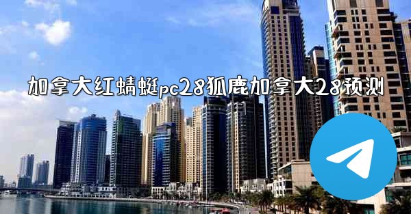 加拿大红蜻蜓pc28狐鹿加拿大28预测