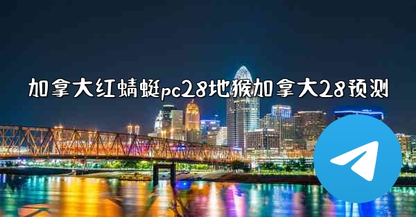 加拿大红蜻蜓pc28地猴加拿大28预测