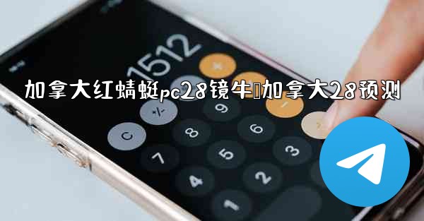 加拿大红蜻蜓pc28镜牛鸭加拿大28预测