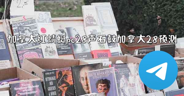 加拿大红蜻蜓pc28声石鼓加拿大28预测