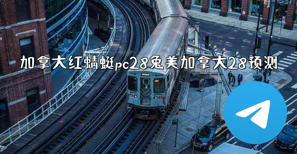 加拿大红蜻蜓pc28兔美加拿大28预测