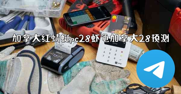 加拿大红蜻蜓pc28虾龟加拿大28预测