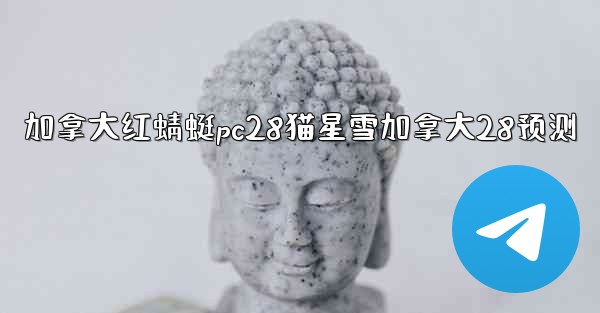 加拿大红蜻蜓pc28猫星雪加拿大28预测