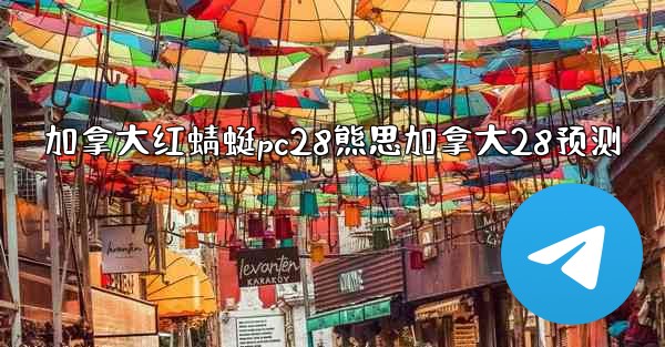 加拿大红蜻蜓pc28熊思加拿大28预测