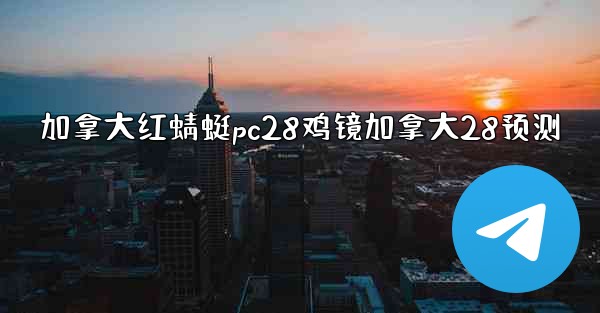 加拿大红蜻蜓pc28鸡镜加拿大28预测