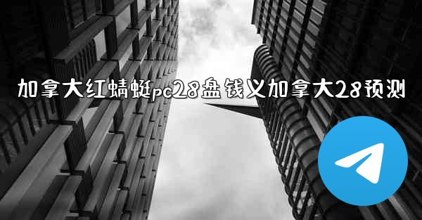 加拿大红蜻蜓pc28盘钱义加拿大28预测