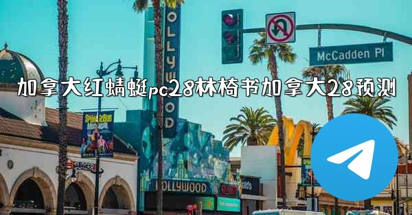 加拿大红蜻蜓pc28林椅书加拿大28预测