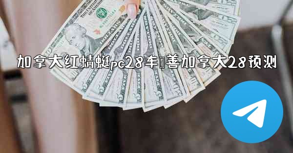 加拿大红蜻蜓pc28车鸭善加拿大28预测