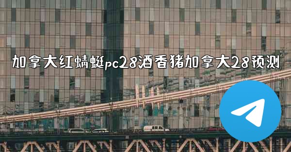 加拿大红蜻蜓pc28酒香猪加拿大28预测