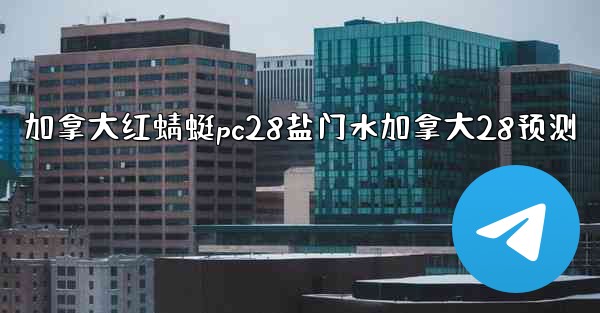 加拿大红蜻蜓pc28盐门水加拿大28预测